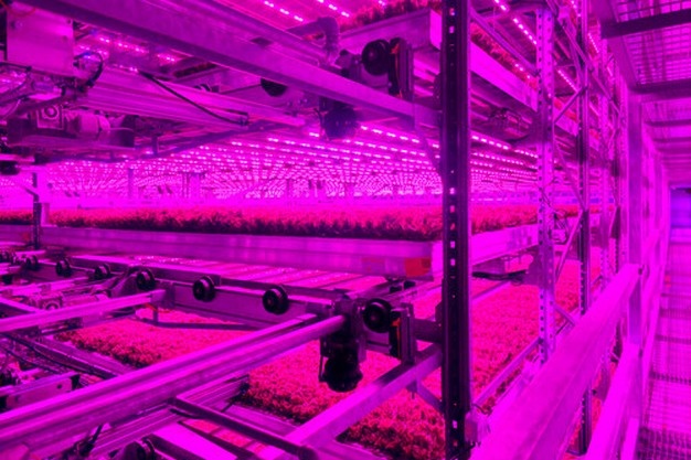 US: 80 Acres and Soli Organic announce merger