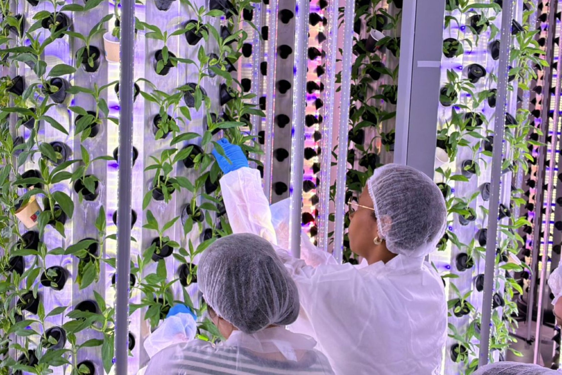 "Every innovation we've brought to market began with a real challenge from a partner"
