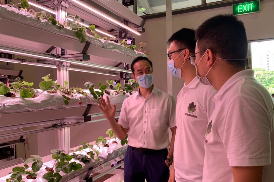 Singapore: Singrow secures US$4.5 million in Series A funding