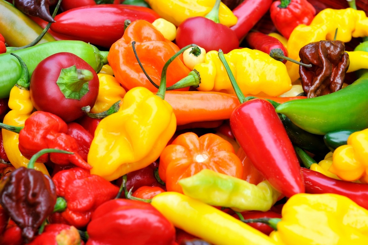 US (CA): Peak pepper season plays part in farmers markets