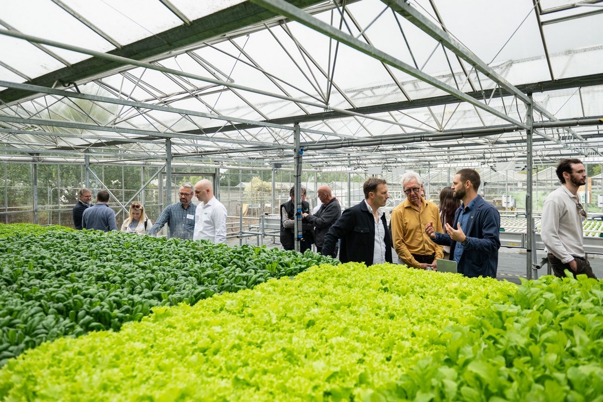 UK: LettUs Grow hosts Health Farm Open Day