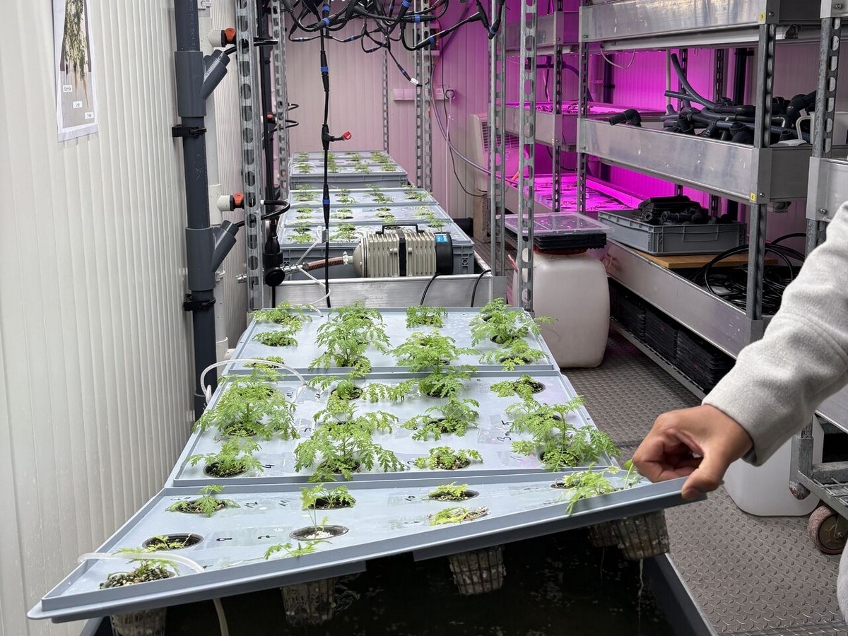 Germany: Showcasing the future of agriculture