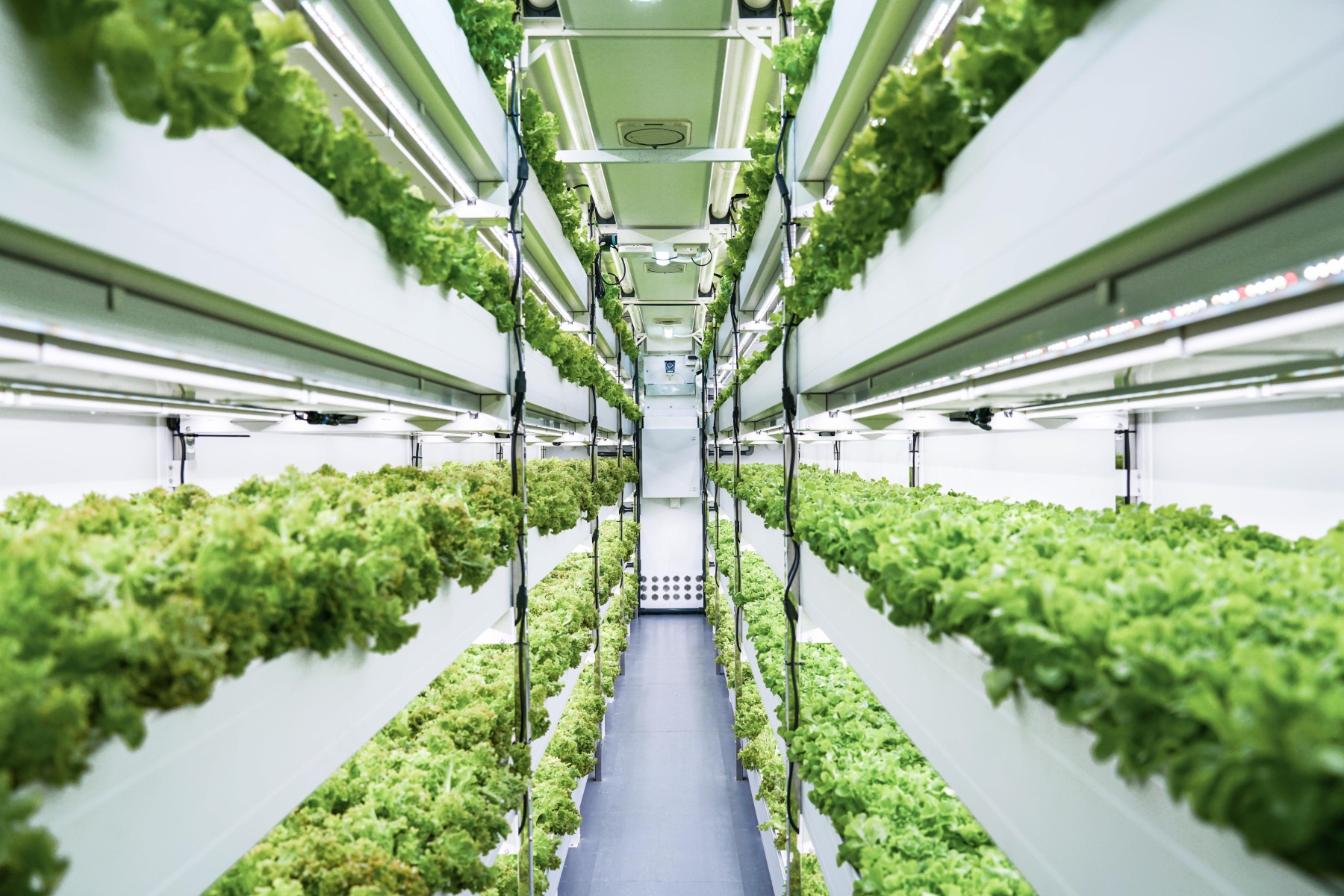 Tecnología de Agricultura Vertical en Acción