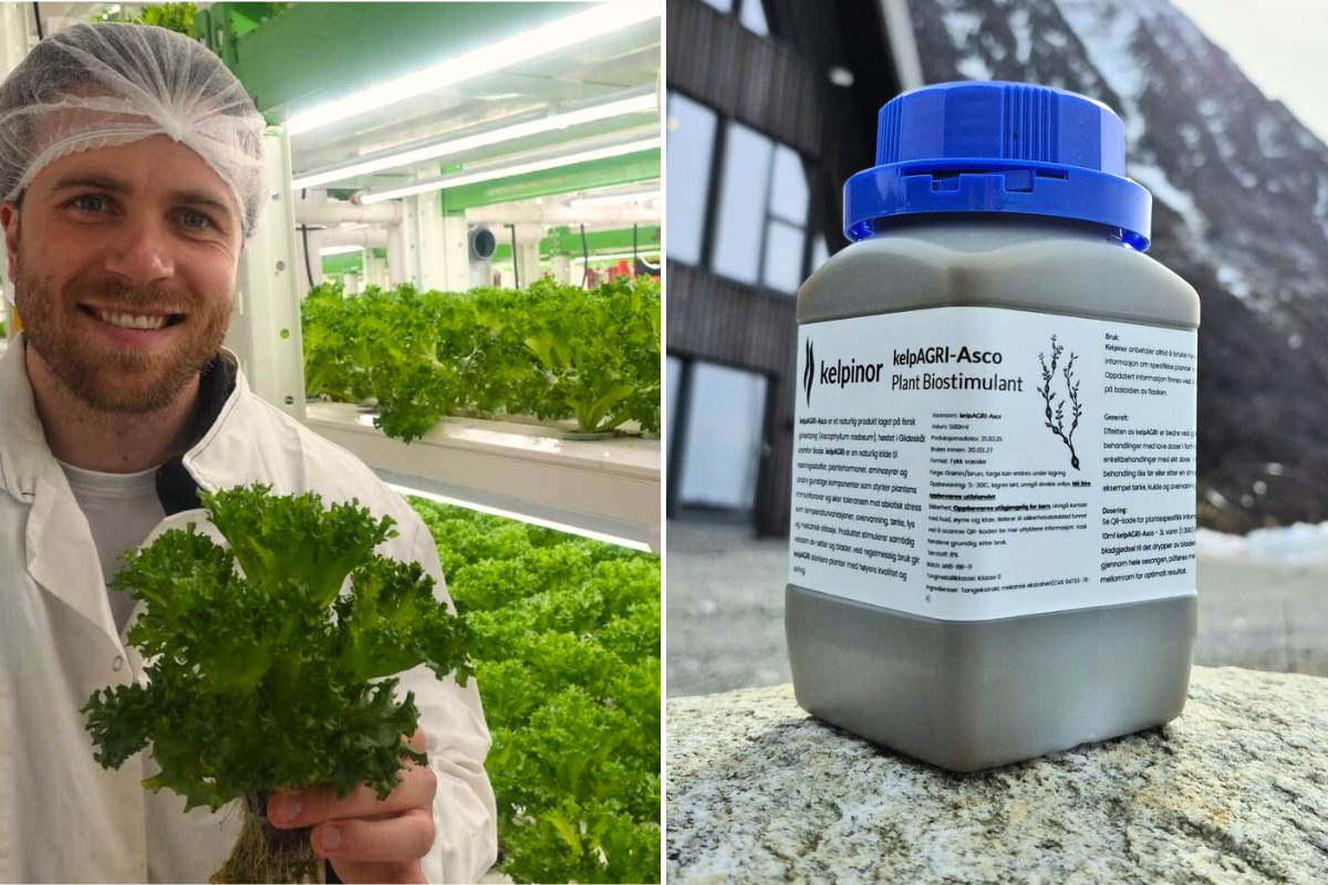 "Telers melden verbeterde plantweerbaarheid en hogere opbrengsten binnen de eerste week"