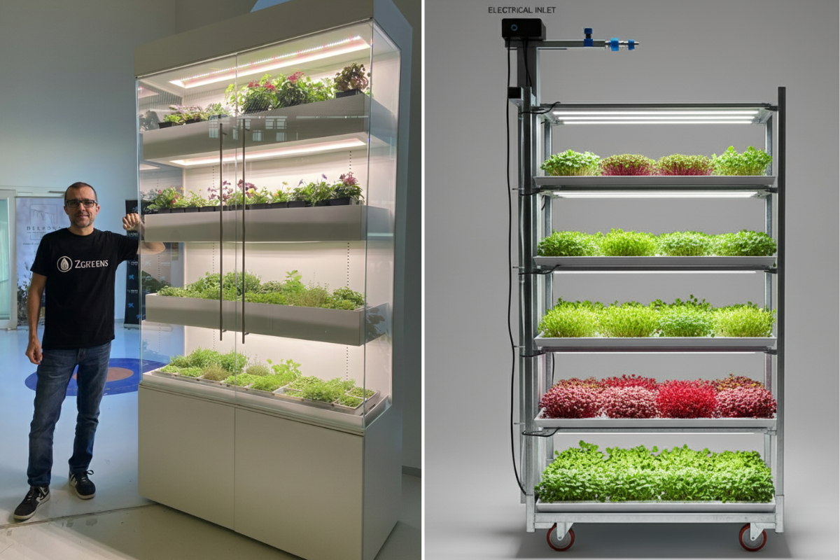 Wat vijf jaar telen ZGreens-oprichter Juan Naudin leerde