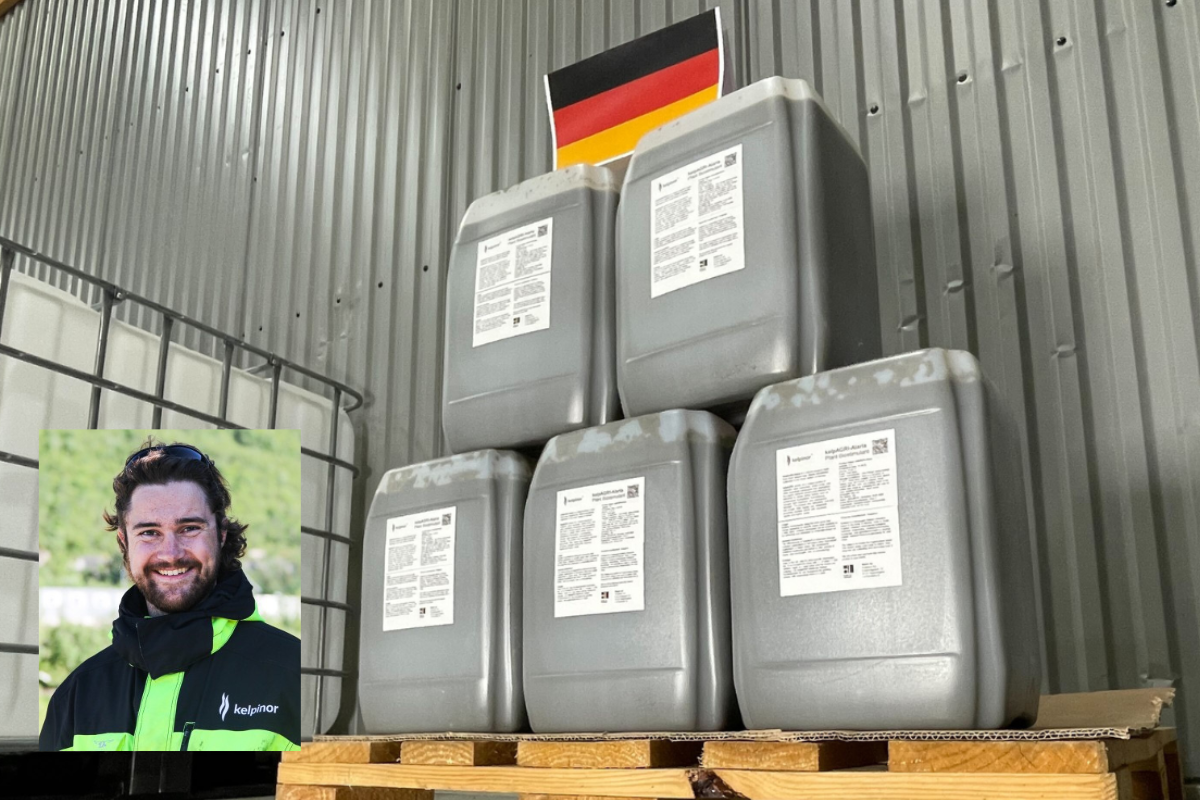 Noors zeewierbedrijf exporteert biostimulant naar Europa