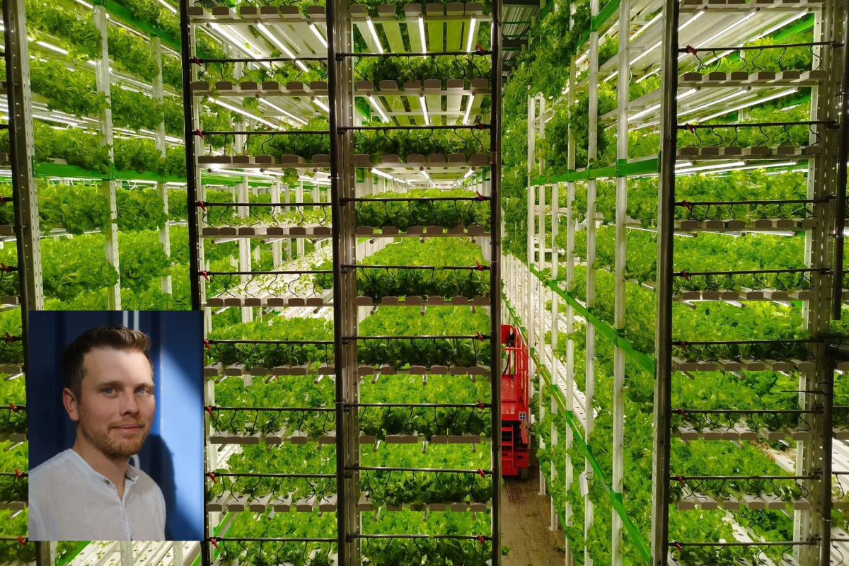 Норвежская вертикальная ферма Grønt fra Nord получила судом разрешение на реструктуризацию